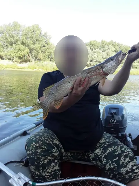 Рыбалка