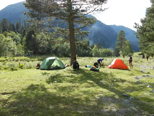 Кемпинг и палаточный отдых