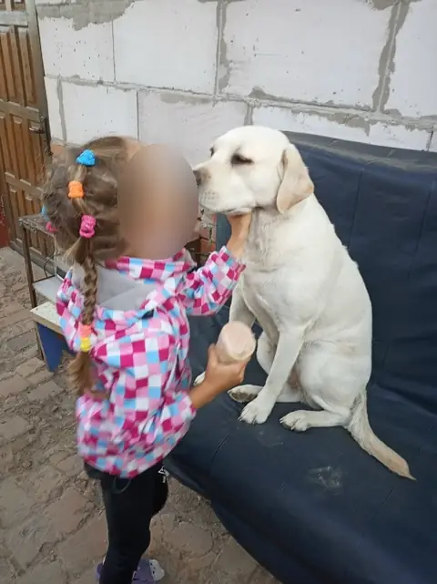 Лабрадор