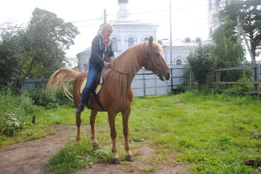 Конный спорт