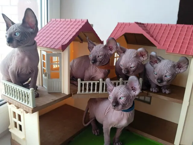 Сфинкс