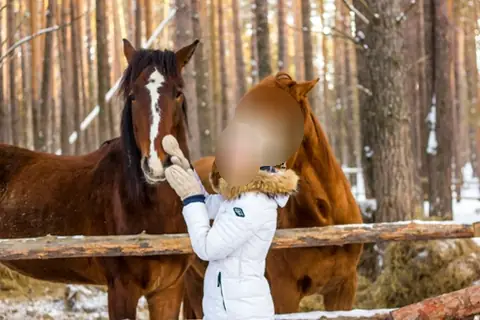 Конный спорт