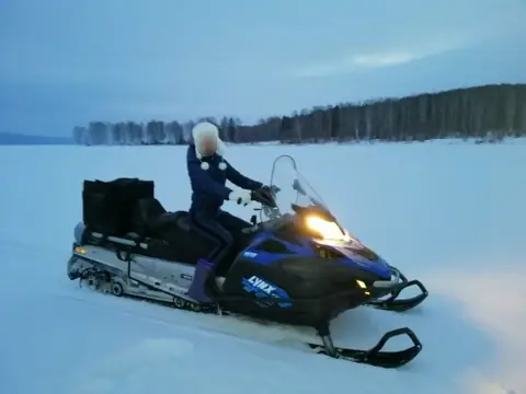 Снегоходы