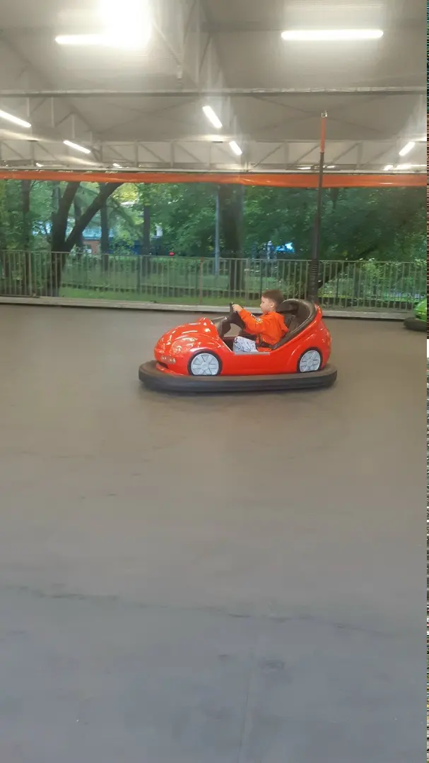 Картинг