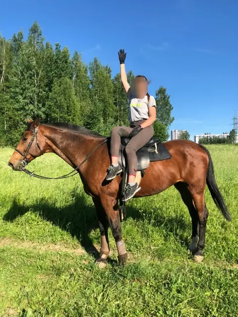 Конный спорт