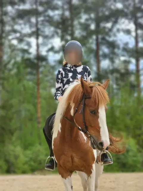 Конный спорт