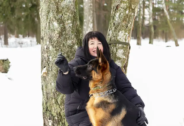 Немецкая овчарка