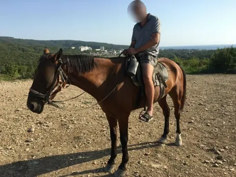 Конный спорт