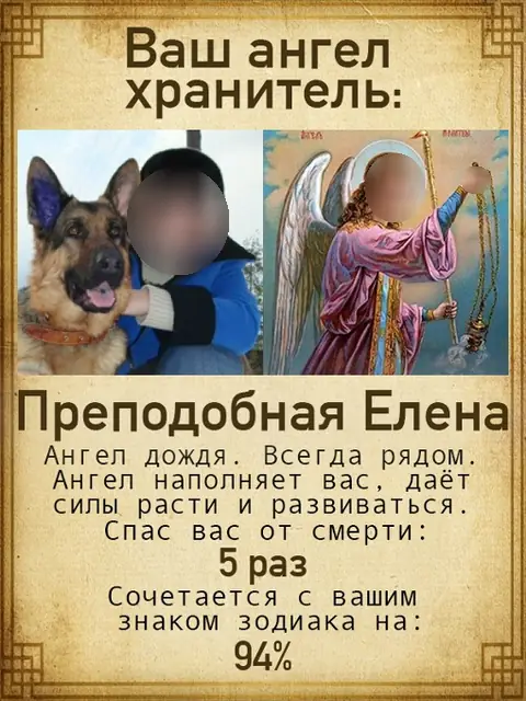Немецкая овчарка