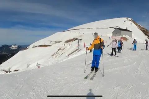 Горные лыжи
