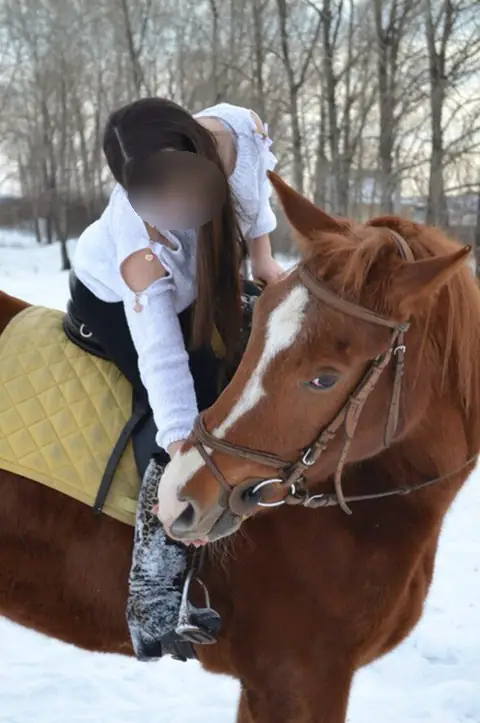 Конный спорт