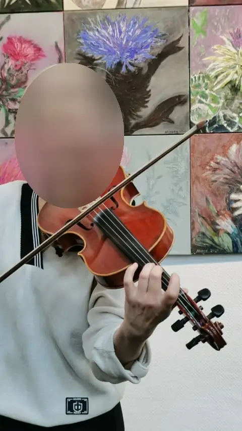 Скрипка