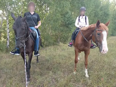 Конный спорт