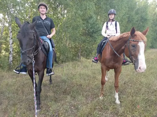 Конный спорт