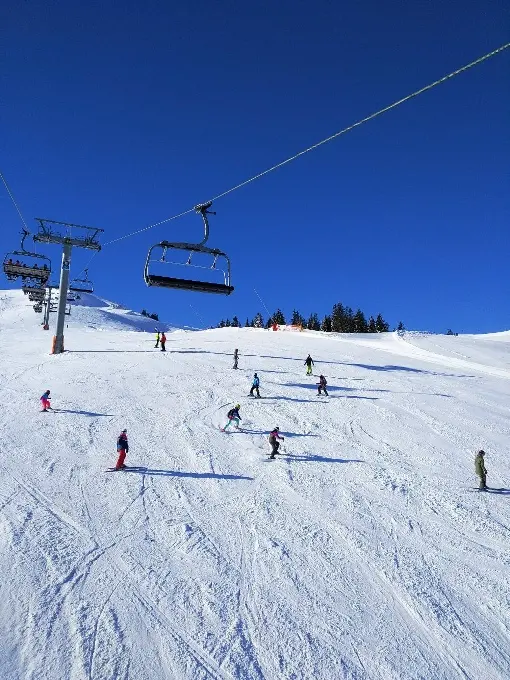Горные лыжи
