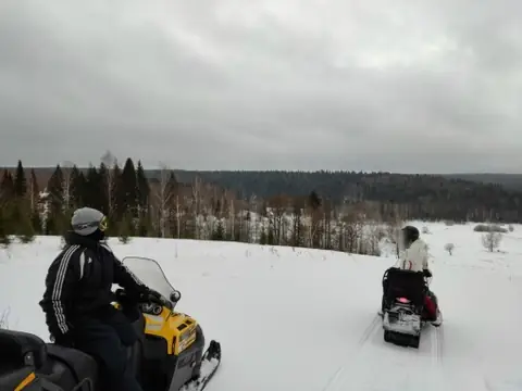 Снегоходы