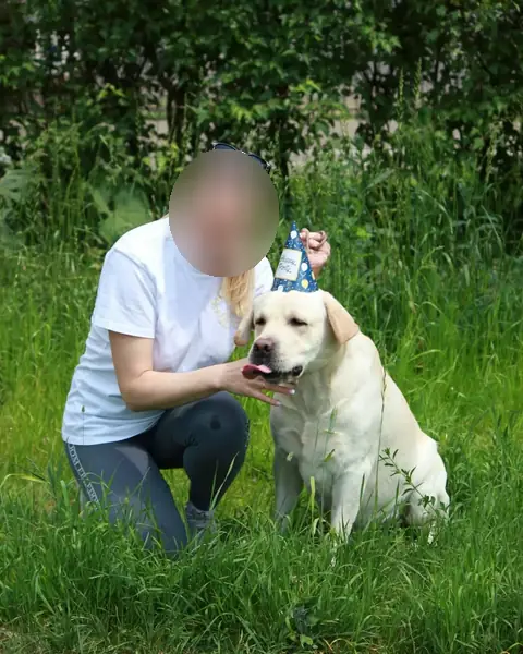 Лабрадор
