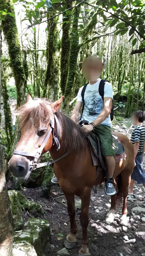 Конный спорт