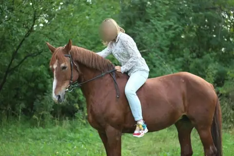 Конный спорт